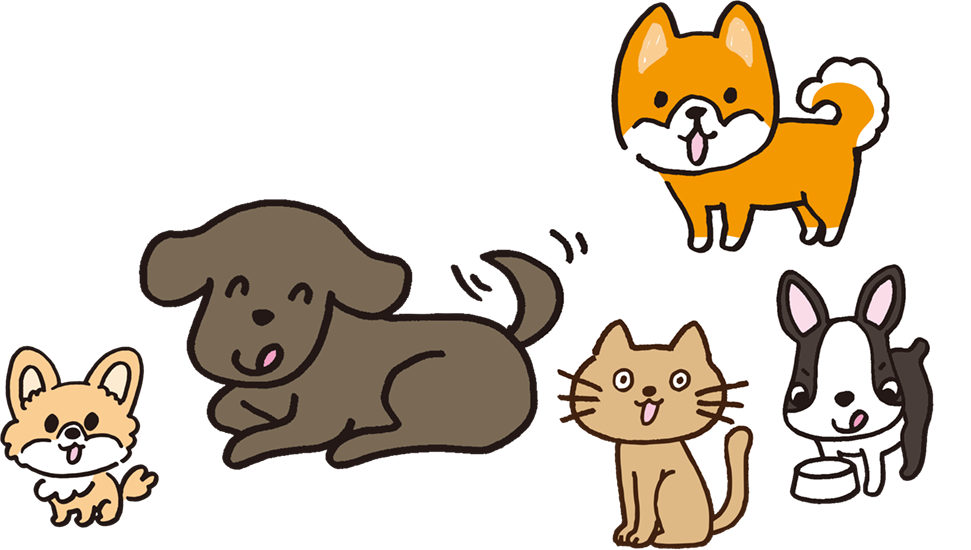 犬猫